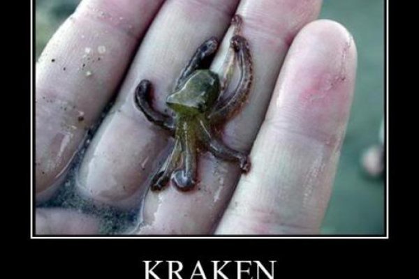 Kraken site