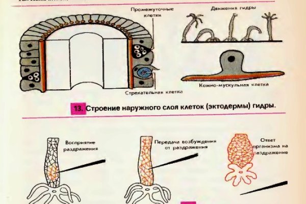 Сайт кракен закрыли